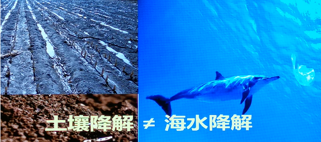 1606186129858150.png image.png