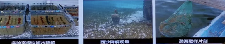 1606186139666600.png image.png