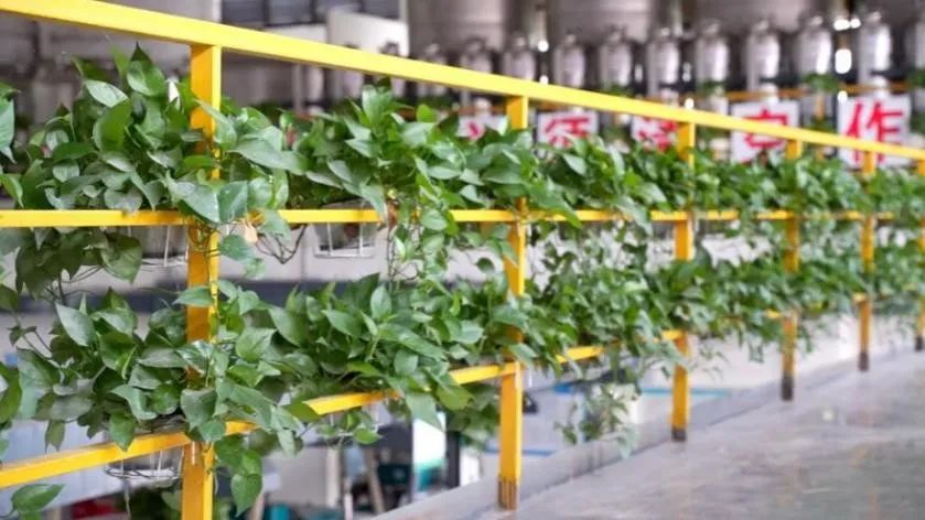 1658738363472068.jpg d0fb135451393b429e5b9bd742e95ddc.jpg